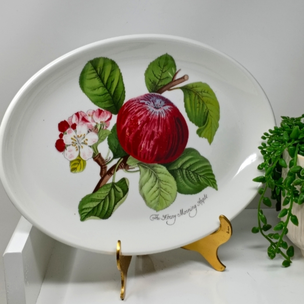 Portmeirion 11 Inch Oval Plate. "The Hoary Morning Apple"